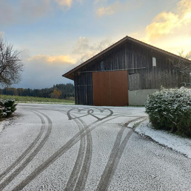 Regionautin Stefanie Grünberger zeigt uns im November 2024 die "Liebliche Botschaft", die sie in der Einfahrt entdeckte, als sie am Morgen aus dem Fenster sah. "Wer das war, ist uns bis jetzt noch unbekannt, aber eins ist klar: Mit dieser Aktion hat uns wer den Morgen versüßt!", schreibt sie dazu. | Foto: Stefanie Grünberger