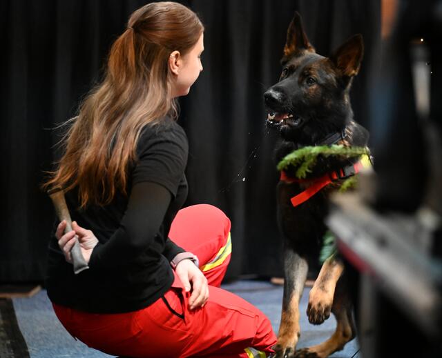 Rettungshunde - Öst. Rettungshundebrigade