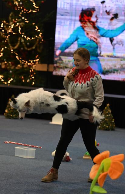 Trickdog - Inez Dengscherz