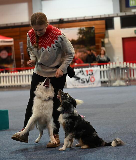 Trickdog - Inez Dengscherz