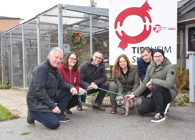  Advent-Besuch im Tierheim St. Pölten – von links: Willi Stiowicek (Ehrenobmann Tierschutzverein St. Pölten), Victoria Bischof (Leitung Tierheim St. Pölten), Jochen Danninger (VPNÖ-Klubobmann), Alexandra Leitold (Geschäftsführung Tierschutzverein St. Pölten), Philipp Gruber (VPNÖ-Klubdirektor) und Thomas Kainz (Obmann Tierschutzverein St. Pölten) mit tierischem Schützling Dana. | Foto: Josef Vorlaufer