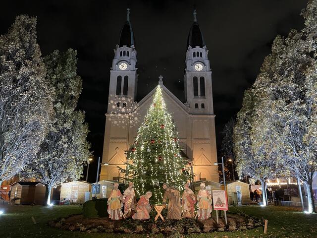 In Simmering bereitet man sich schon auf Weihnachten vor. Christbäume findet man an vier Standorten. (Archiv)  | Foto: Kriechbaum/MeinBezirk
