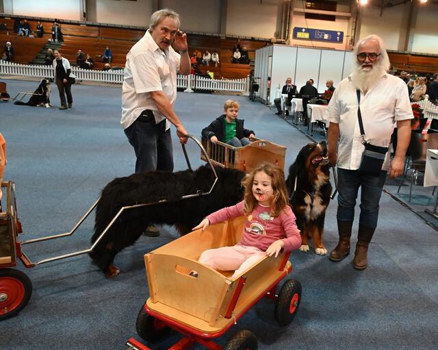 Zughunde - www.zughund.at