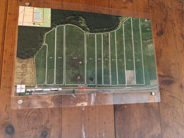 Foto: Elisabeth Bendl