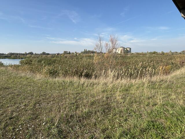 Foto: Elisabeth Bendl