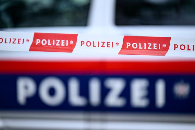 Weitere Hintergründe zum Motiv sind derzeit unbekannt und Gegenstand weiterer Ermittlungen, heißt es. (Symbolfoto) | Foto: MAX SLOVENCIK / APA / picturedesk.com