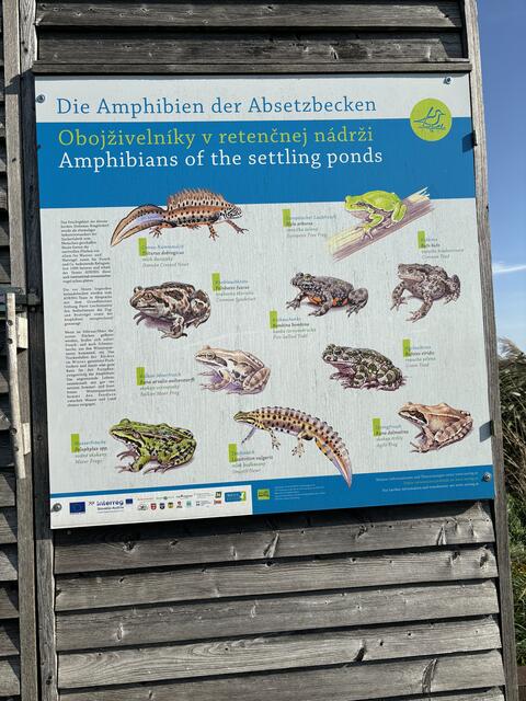 Foto: Elisabeth Bendl