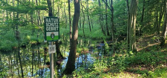 Foto: Steiermärkische Berg- und Naturwacht