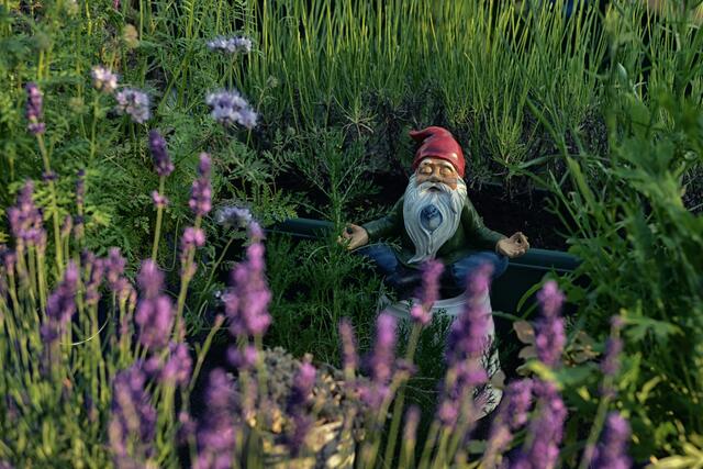 So entspannt wie dieser Gartenzwerg, waren die Leopoldstädter Parteien beim Thema Kleingartenverein Sulzwiese nicht. | Foto: Unsplash/Dorota Dylka