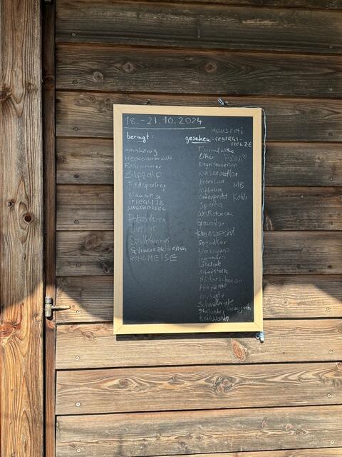 Foto: Elisabeth Bendl