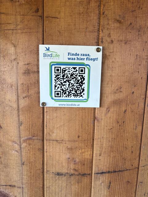 Foto: Elisabeth Bendl