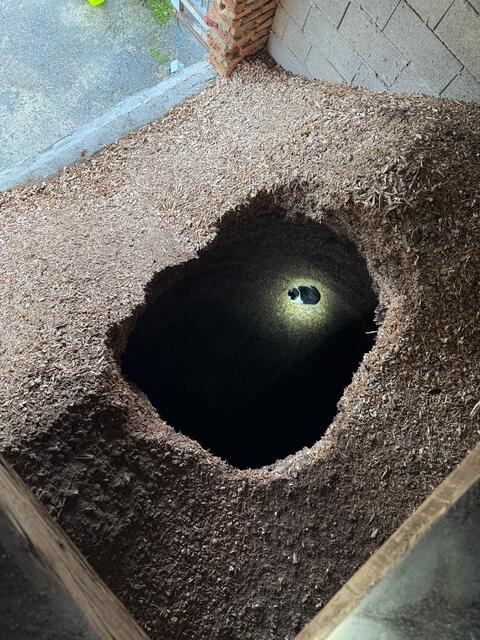 Foto: TEAM FOTOKERSCHI / FEUERWEHR St. FLORIAN