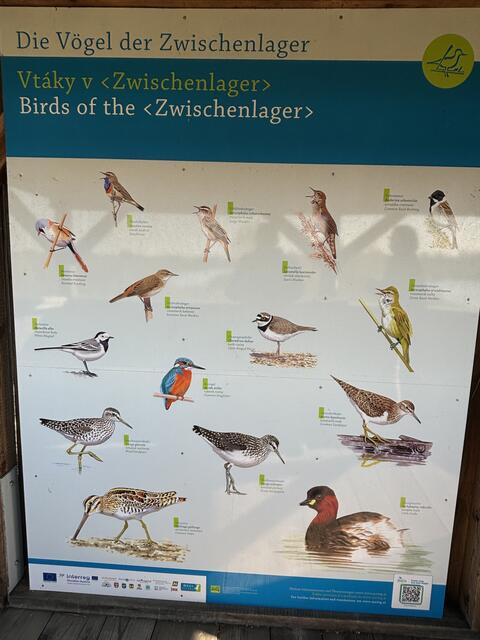 Foto: Elisabeth Bendl