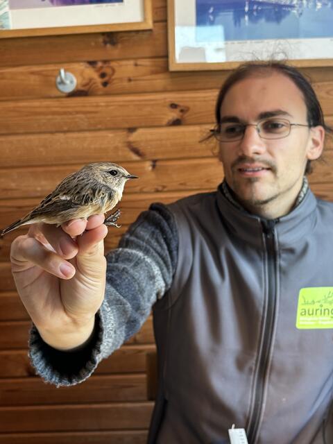 Foto: Elisabeth Bendl