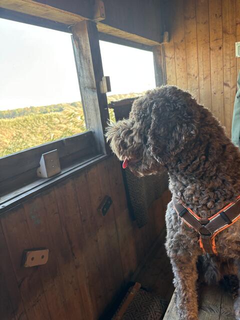 Foto: Elisabeth Bendl