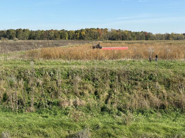 Foto: Elisabeth Bendl