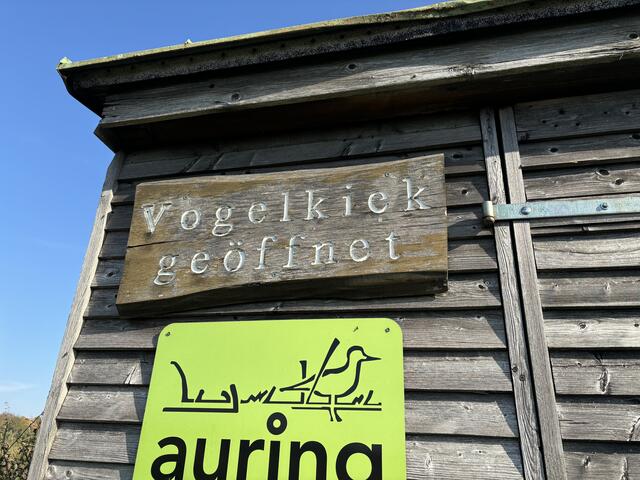 Foto: Elisabeth Bendl