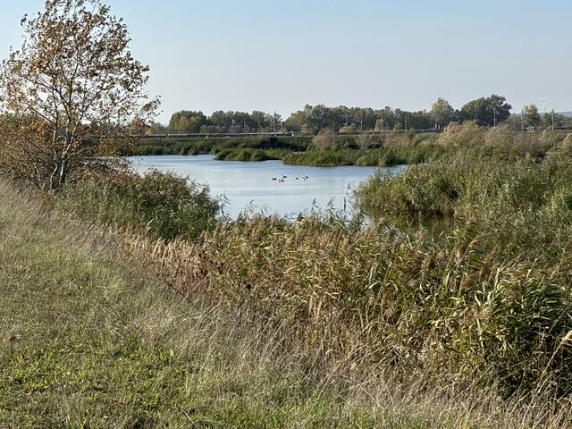 Foto: Elisabeth Bendl