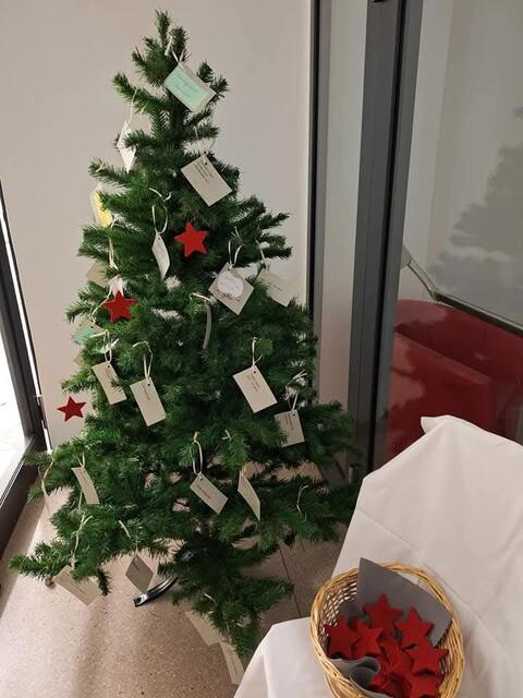 Im Haus des Lebens in Voitsberg stehen Adventbäume mit Weihnachtswünschen. | Foto: Spari