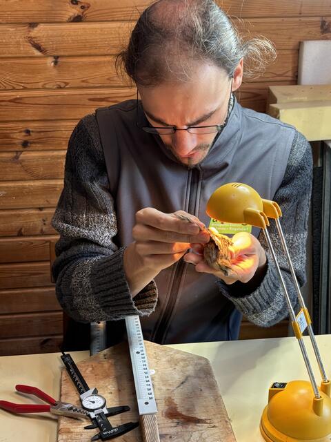 Foto: Elisabeth Bendl