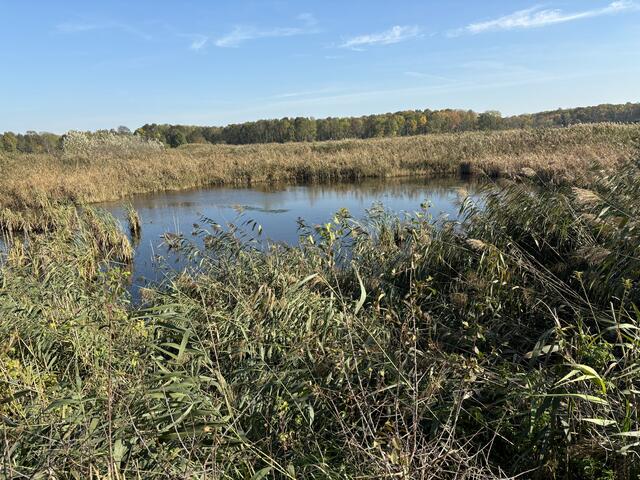 Foto: Elisabeth Bendl