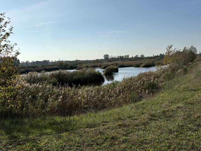 Foto: Elisabeth Bendl