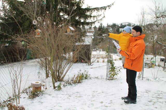 Heimische Gartenvögel lernt man nirgends besser kennen als im eigenen Garten. | Foto: BirdlLife Österreich