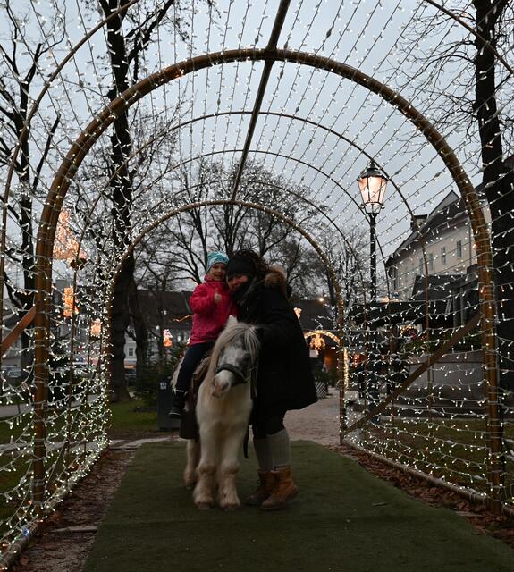 Lichtertunnel im Welser Lichterpfad.
Luise und Manu