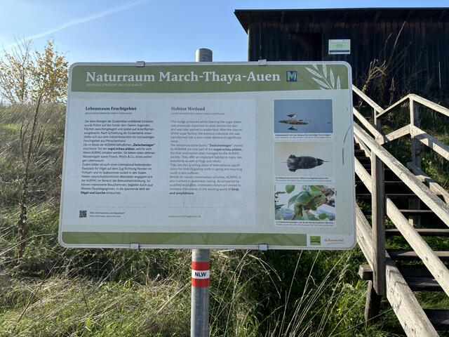 Foto: Elisabeth Bendl