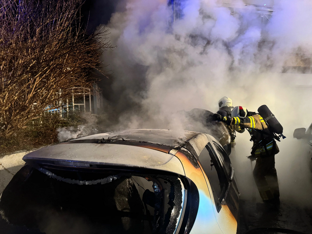 Foto: Freiwillige Feuerwehr Piesendorf