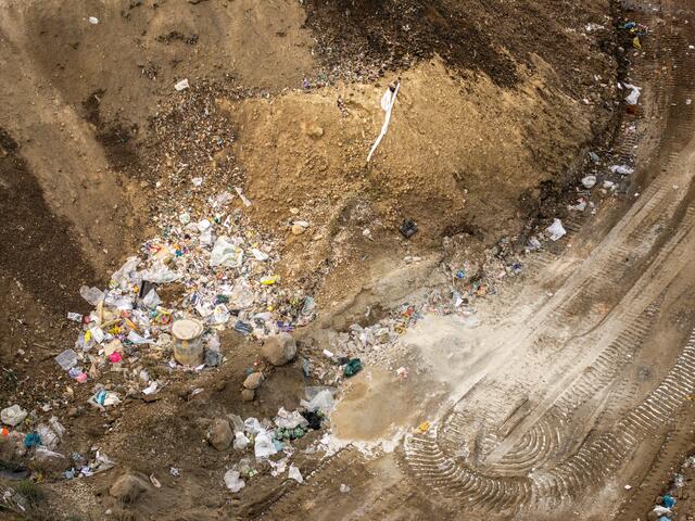 Foto: Greenpeace
