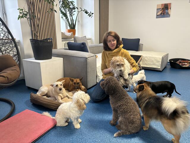 Den Hunden wird tagsüber ein Programm geboten.  | Foto: Michael Marbacher / MeinBezirk