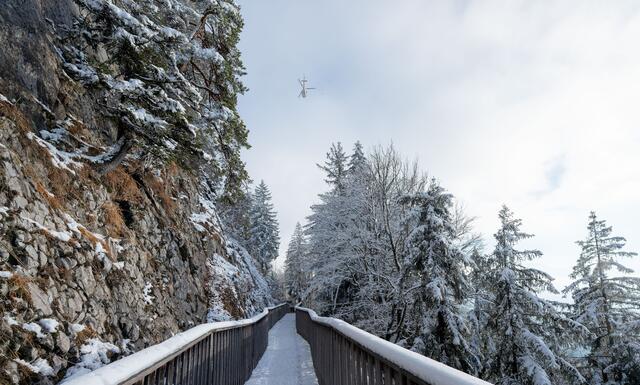 Die drei insgesamt rund 90 Meter langen Seilsperren oberhalb der Hauser Brücke haben nach etwa 30 Jahren ihre Lebensdauer erreicht. | Foto: Stadt:Salzburg - Alexander Killer