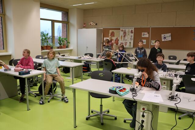Foto: Schauer