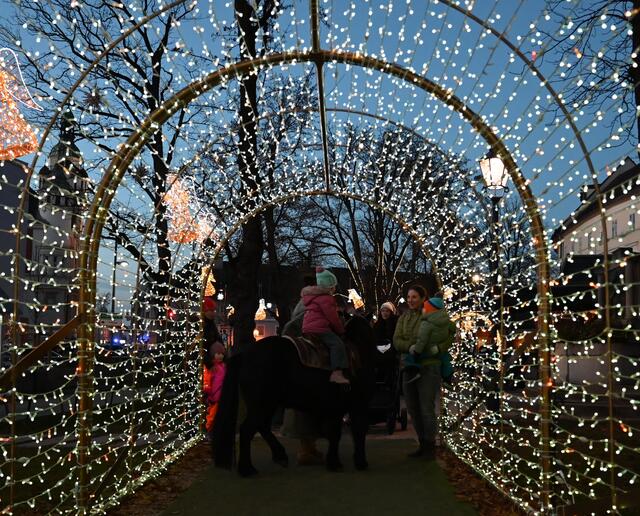 Lichtertunnel beim Welser Lichterpfad