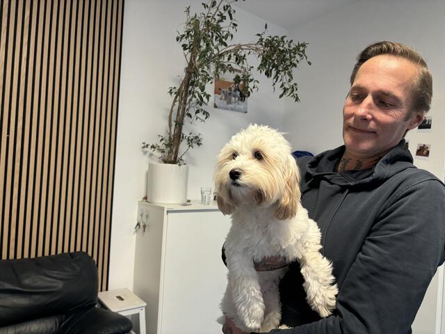 Im Hundehort sind Hunde tagsüber nie alleine. Ein Team aus sechs Betreuerinnen und Betreuern ist hier im Einsatz, um den Vierbeinern einen angenehmen Tag zu ermöglichen. | Foto: Michael Marbacher / MeinBezirk