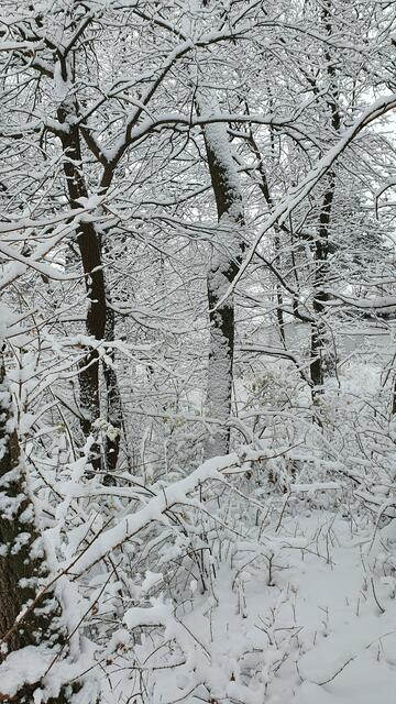 Foto: Philipp Steinriegler