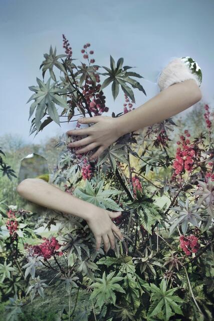 Die Museen der Stadt Linz haben für 2025 ein Programm zusammengestellt, das sich den brennenden Fragen unserer Zeit widmet: Umwelt, Identität und Frieden. | Foto: anja Bučan, Sequences of Truth and Deception, 2018