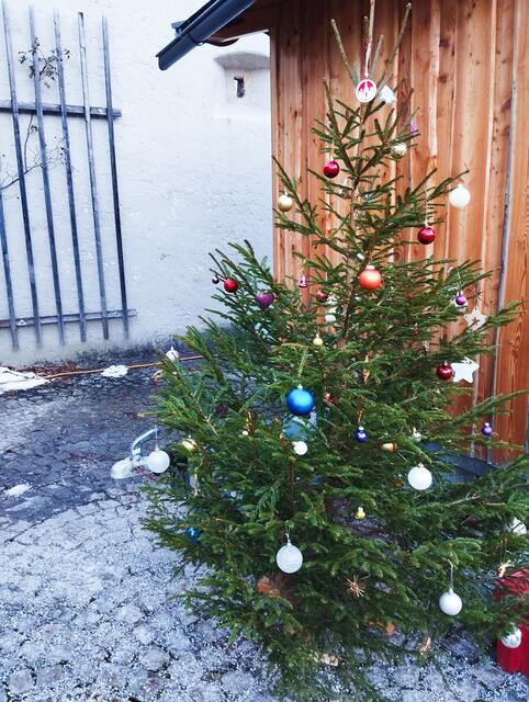 Foto: Veronika Frank