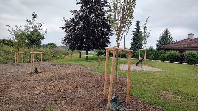 100%ige naturnahe Pflege öffentlicher Grünflächen und Bepflanzung zur Schaffung eines besseren Mikroklimas | Foto: Gemeinde Zeiselmauer