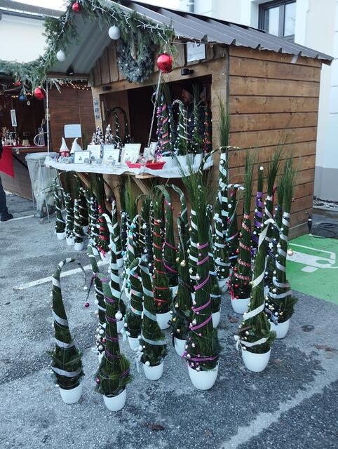 Foto: Veronika Frank