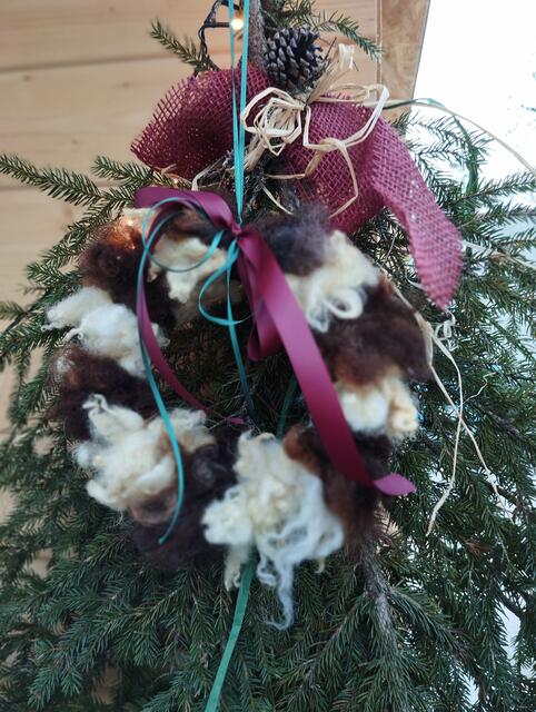 Foto: Veronika Frank