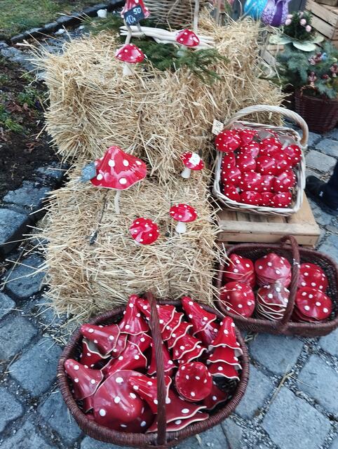 Foto: Veronika Frank