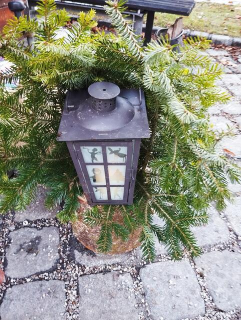 Foto: Veronika Frank