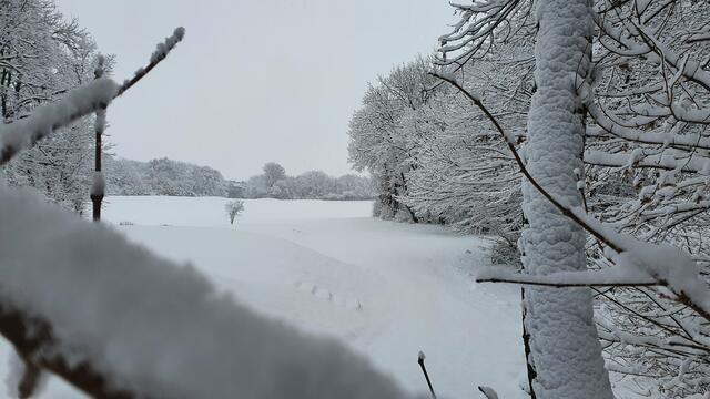 Foto: Philipp Steinriegler