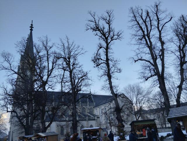 Foto: Veronika Frank