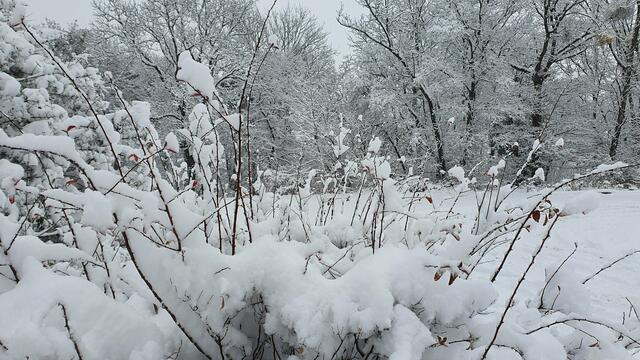 Schöne Erinnerungen: bald wieder.
Viel Schnee am Richardhof bei Mödling. Das war im am 9. Dezember 2021 | Foto: Philipp Steinriegler