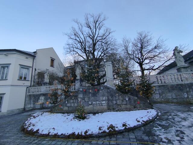 Foto: Veronika Frank