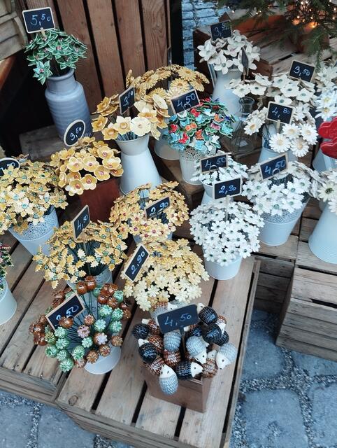 Foto: Veronika Frank