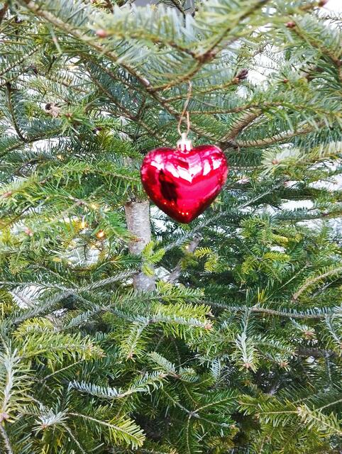 Foto: Veronika Frank